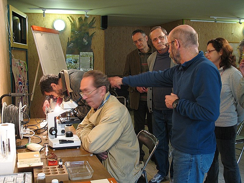 2008 03  Atelier myxomycètes 06